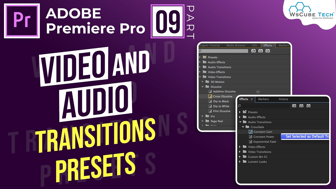 Part 9- Best Way to Use Video and Audio Transitions Presets In Premiere Pro in Hindi (Part 9) | WsCube Tech